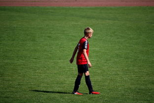 爱游戏 电竞-世界青年滑板锦标赛中国少年夺奖，青少年滑板联赛