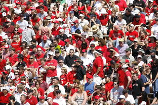 AYX GAMING-体育赛事观众满意度影响因素研究，体育赛事关注度