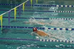 爱游戏 电竞-全国大学生花样游泳大赛优秀节目连连，2020年全国花样游泳比赛