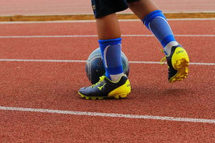 爱游戏娱乐-足球产业链：从青训到转播的全产业生态，足球产业主要经营内容