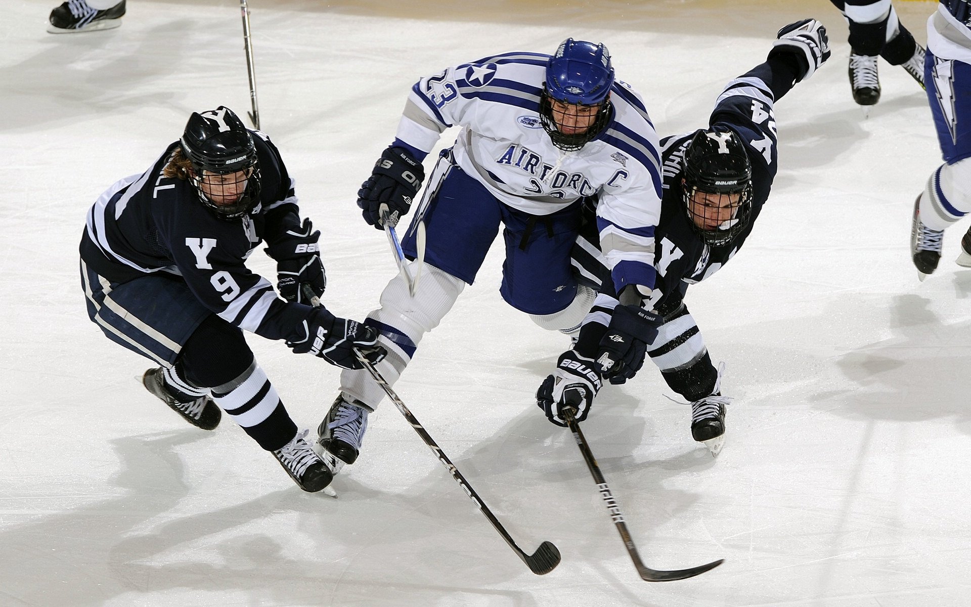 塔图姆捐款支持波士顿贫困社区青少年篮球项目,塔图姆水平怎么样